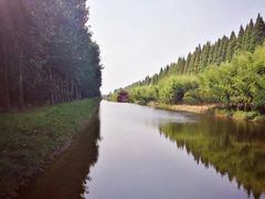 -黄海国家森林公园