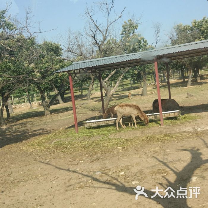 西安秦嶺野生動物園