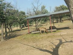 -西安秦岭野生动物园