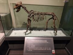 -大庆市博物馆