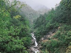 -大奇山国家森林公园