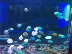 -多彩贵州城极地海洋世界