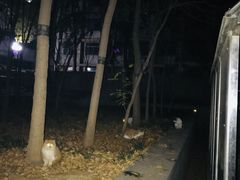 -山东大学(千佛山校区)