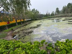 -北戴河圣蓝海洋公园