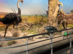 -国家自然博物馆