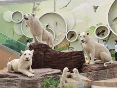 -陕西自然博物馆