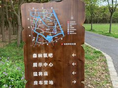 -广富林郊野公园