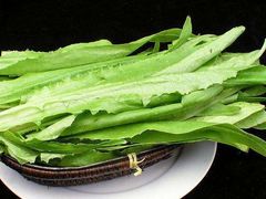 油麦菜-聚聚火锅.欢聚到半夜(静海店)