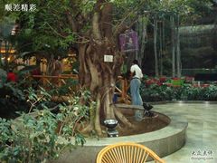 DSC00374-绿色时代大酒店