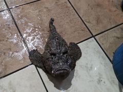 -量贩海鲜餐厅