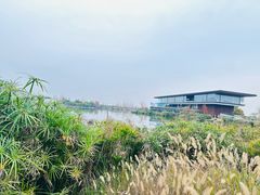 -云里小坐·海泉湾·团建·宴席·下午茶(金堂海泉湾店)