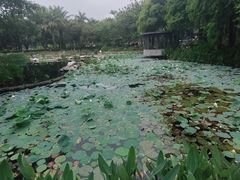 -四海公园(南山区)