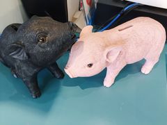 -WHEN PIGS FLY当猪飞