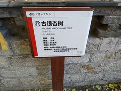 -天朝元辅-徐州民俗博物馆