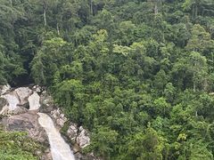 -海南热带雨林国家公园吊罗山景区
