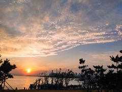 -小麦岛公园