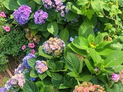 -人民公园(罗湖区)