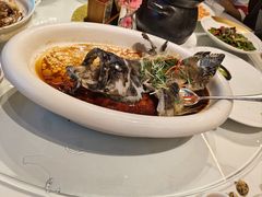-陶缘一号·四季缘·老字号顺德菜·户外婚礼家宴(西滘店)