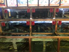 大堂-螺涌海鲜酒楼(增槎路店)