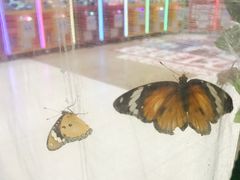 -砂之船奥特莱斯(合肥店)