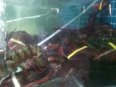 -范饭椰林川湘味海鲜·椰子鸡(三亚湾椰梦长廊店)