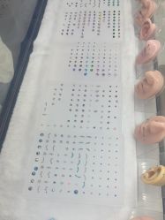 -众刺纹画·纹身·穿孔饰品·海娜定制