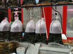 -华声天桥民俗文化园