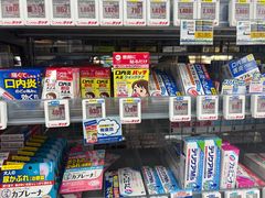 -秋叶原电器街