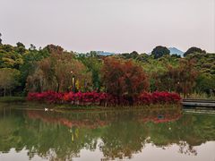 -深圳大学(丽湖校区)