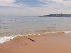 -青岛第三海水浴场