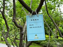 -静安雕塑公园
