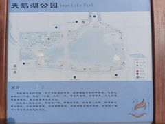 -安徽广播电视台