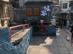 -猫咪博物馆(顶澳仔猫街店)