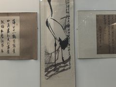 -盐城丹顶鹤湿地生态旅游区