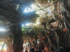 -横店影视城梦幻谷园区