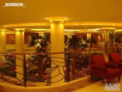 -上海万豪虹桥大酒店·宴会厅