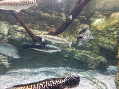 -太平洋海底世界