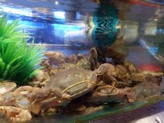 -V-ONE西雅图海鲜自助餐厅(仓山万达广场店)