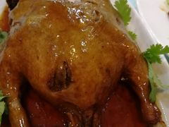 -柳饮·春柳酒家