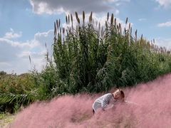 -嘉北郊野公园