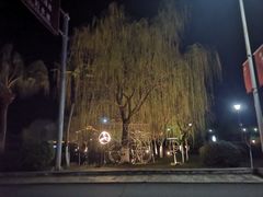 -明月山天沐温泉度假村