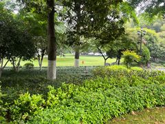 -浙江宾馆·花园餐厅·自助餐厅·茶吧