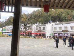 -千年银杏谷文化旅游区