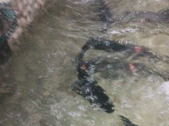 -陈大锅·岳阳鱼馆·地道岳阳菜(美食街店)