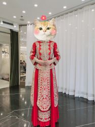 -拉瑞娜LaReine婚纱礼服高级定制