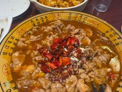 -邵年鸽(杨庄店)