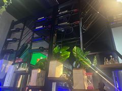 -杨记齐齐哈尔烤肉(五莲路店)