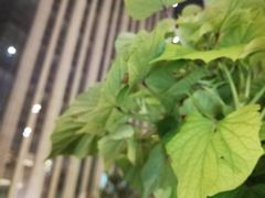 -瓦库茶馆17号(海汇港店)