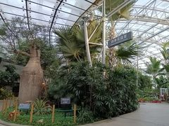-北京植物园-展览温室
