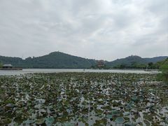 -顺峰山公园